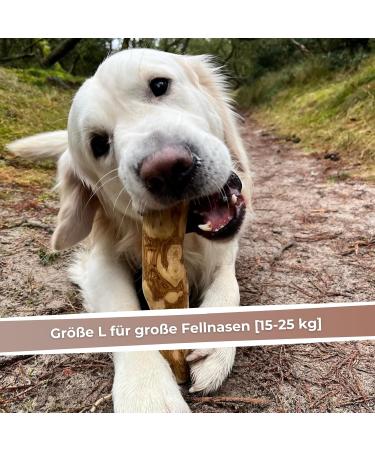 Zoys Coffee Wood Natural Chewing Bones for Dogs - Size L (15-25kg) | Caustab Dental Care & Sustainable Employment | Long-Lasting Dog Accessories - 1 Piece - Buy Online on GoSupps.com