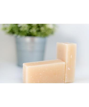 Jojoba & Tea Tree Oil Shampoo Bar (3.5 Oz) - Promotes Hair Growth, Reduces Hair Loss - Phthalate, Paraben, Sulfate, Gluten Free - Vegan - Buy Online on GoSupps.com