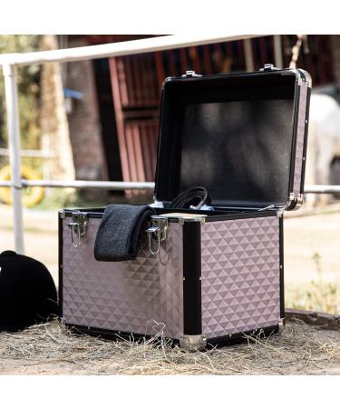 Navaris Plaster Box Cleaning Case for Horses | Lockable Metallic Rose Gold Storage Box for Horse & Pony Care | International Shipping Available - Buy Online on GoSupps.com