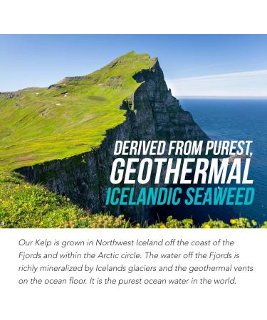 Sea Vegetable Complex Organic Iodine Supplement - 250mcg, Whole Food Raw Form with Trace Minerals, Icelandic Sea Kelp, Irish Moss, Bladderwrack - 60 Capsules - Buy Online on GoSupps.com