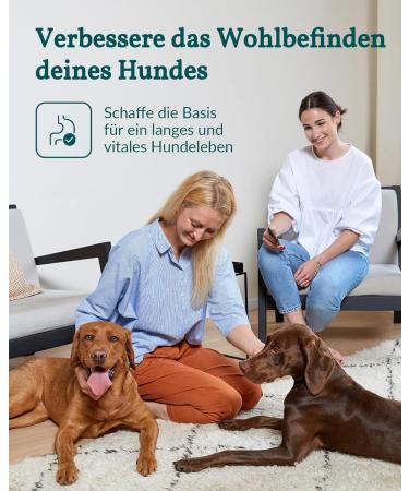 Vetevo Dog Allergy Test - 150+ Intolerances Saliva Sample for Itching & Digestive Issues - Test Winner - Buy Online on GoSupps.com