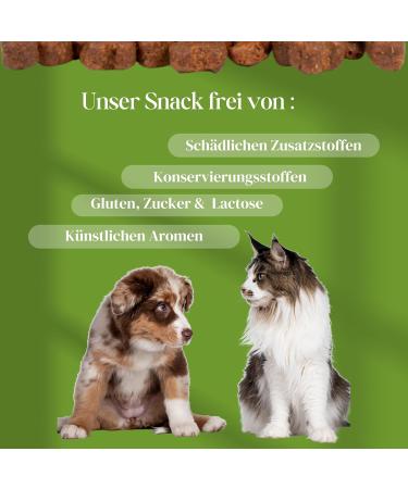 Relaxing Probiotic Snacks for Dogs & Cats - Anti-Stress Treats for Fear & Nervousness (150g) - Buy Online on GoSupps.com