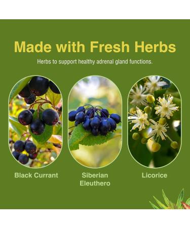 Herbs Etc. Adrenotonic - Herbal Supplement for Adrenal Gland Health Support - Energy Support Supplement for Men & Women - 60 Softgels (60 Servings) - Buy Online on GoSupps.com