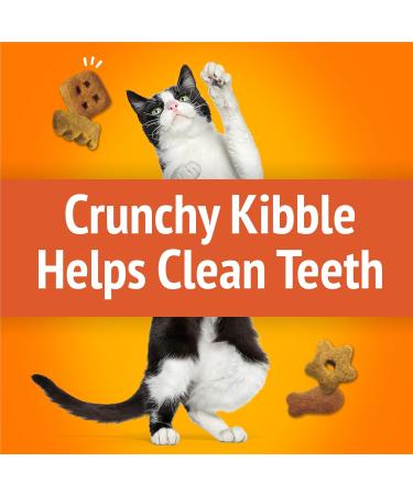 Friskies Party Mix Cat Treats Original Crunch with Real Chicken - 454 g Cannister (1 Pack) 454 g (Pack of 1) - Buy Online on GoSupps.com