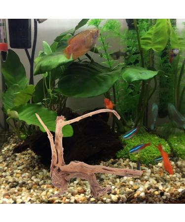 POPETPOP Aquarium Driftwood Branches- 3pcs Aquarium Driftwood for Reptiles Freshwater Terrarium Decor Reptile Tank Accessories Spiderwood for Aquarium - Buy Online on GoSupps.com