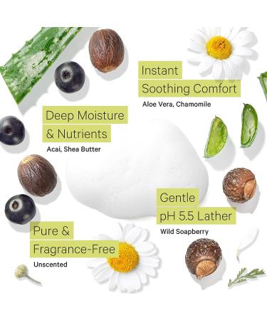 Tree To Tub Sensitive Skin Face Wash - Fragrance Free Hydrating Cleanser with Organic Aloe Vera - 4 Fl Oz - Buy Online on GoSupps.com