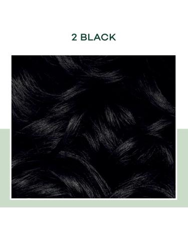 Clairol Natural Instincts Demi-Permanent Hair Dye 2 Black 5.85 Fl Oz - Pack of 3 - Buy Online on GoSupps.com