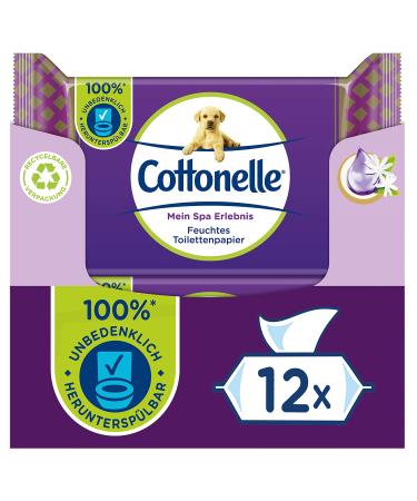 Cottonelle moist toilet paper my spa experience - silk and jasmine biodegradable plastic -free reclaimable advantage pack 12 x 42 wet wipes silk & jasmin 12x42