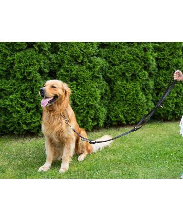 Buy COPCOPET Handmade Fat Leather 3-Way Adjustable Dog Leash | Soft Braided 2.40m Brown | Brass Carabiners | International Shipping - Buy Online on GoSupps.com
