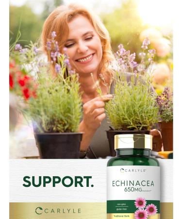 Carlyle Echinacea | 120 Capsules | Vegetarian Non-GMO & Gluten Free Supplement - Buy Online on GoSupps.com