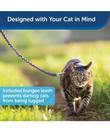 PetSafe Come with Me Kitty Harness & Bungee Leash for Cats - Lilac/Light Purple - Small - Comfortable Safe and Adjustable Hiking Gear - Buy Online on GoSupps.com