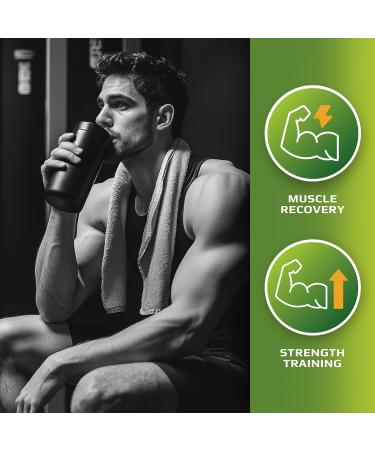 MFL Muscle Whey Protein 5 lbs l 26g of Protein l 8g BCAAs l 6g Glutamine l Low Carbs l 69 Servings (Banana Cream) - Buy Online on GoSupps.com