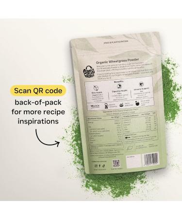 Organic Wheatgrass Powder 225g for Energy & Skin Health | Earths Basket - Buy Online on GoSupps.com