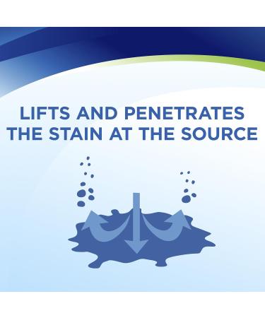 Bissell Woolite INSTAclean Pet Stain Remover (2 pack) - Effective & Permanent Solution - Buy Online on GoSupps.com