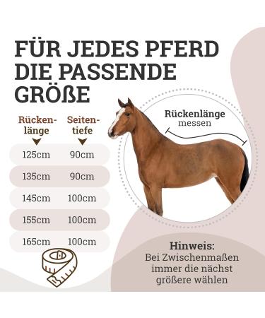 Esposita Champion Edition Sweat Ceiling with Fur Collar & Ornamental Piping - Navy/Silver 155cm | International Shipping - Buy Online on GoSupps.com