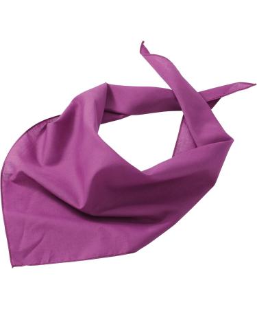 Schnoschi Personalized Purple Dog Scarf - Custom Embroidered Name for Your Dog - Buy Online on GoSupps.com