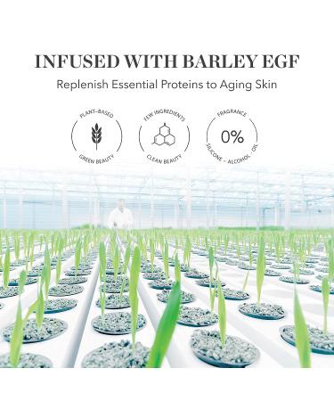 BIOEFFECT EGF Serum Treatment Duo with Hyaluronic Acid - Moisturizing, Firming, Wrinkle-Fighting for Face & Neck - Day/Night Use - Best Derma Roller Serum - Buy Online on GoSupps.com