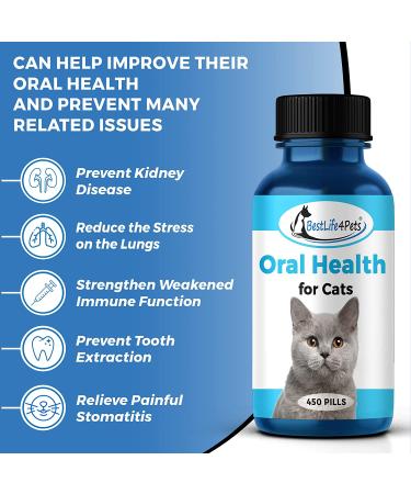 BestLife4Pets Oral Health for Cats - Dental Care Supplement for Stomatitis, Gingivitis & Gum Disease - Anti-inflammatory Pain Relief - 450ct Easy-to-Use Pills - Cat Supplies - Buy Online on GoSupps.com