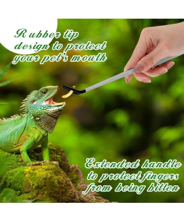 Ziliny 2 Pcs Reptile Feeding Tongs Stainless Steel Long Handle Tweezers Straight and Bent Rubber Tipped Tweezers with 2 Pcs Reptile Food Dish Bowl Terrarium Feeder Tools for Gecko Snake (10'' 10.5'') - Buy Online on GoSupps.com