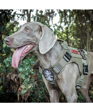 OneTigris Fire Watcher 2.0 Molle Dog Harness with Handle & Metal Buckle - L Green | International Shipping Available - Buy Online on GoSupps.com