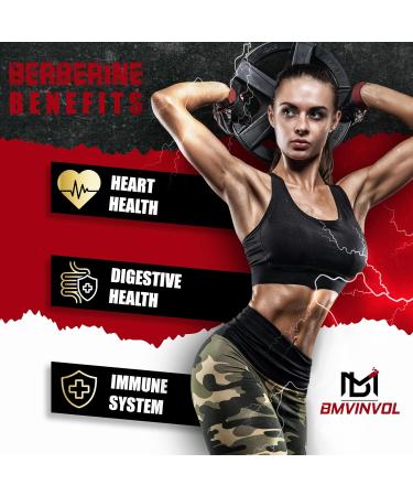 2 Pack Berberine HCl- Plus Ceylon Cinnamon Turmeric Milk Thistle Artichoke Black Pepper Berberine HCI Root Supplements Pills - Immune System - Buy Online on GoSupps.com