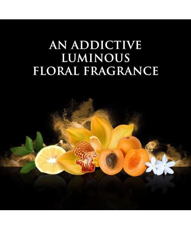 Beyonce Rise Eau de Parfums 1 Fluid Ounce 1 Fl Oz (Pack of 1) - Buy Online on GoSupps.com
