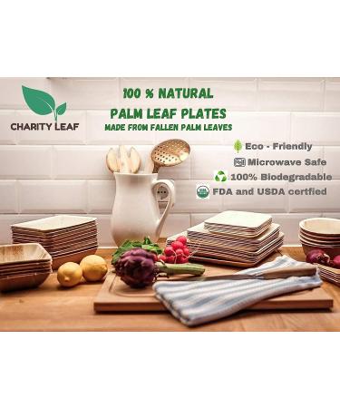 Charity Leaf Disposable Palm Leaf 3.5" Round Mini Bowl (25 pcs) Dipping Bowls | Bamboo Like| All Natural and Biodegradable | Charcuterie Boards  BBQs  and Parties 3.5" Round Bowls (25 pcs) - Buy Online on GoSupps.com