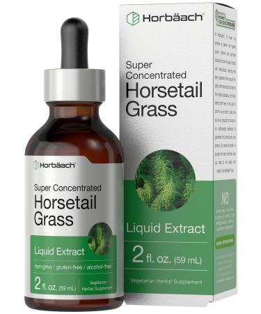 Horb ach Horsetail Herb Liquid Extract | Alcohol Free | 2 fl oz | Vegetarian Non-GMO & Gluten Free Supplement