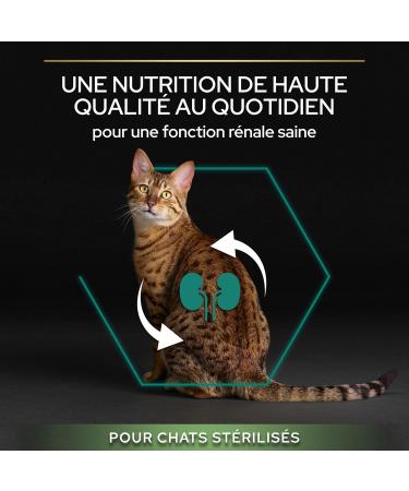 Pro Plan PURINE PRO PLAN Sterilized dry food for adult cats 1+ with OPTIRENAL rich in salmon pack of 1 (1 x - Buy Online on GoSupps.com