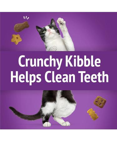 Friskies Party Mix Cat Treats Kahuna Crunch with Real Ocean Whitefish - 454 g Cannister (1 Pack) 454 g (Pack of 1) - Buy Online on GoSupps.com