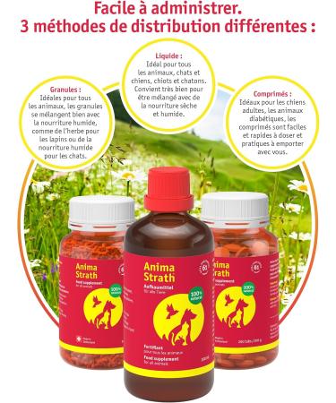 ANIMA-STRATH Fortifying and Natural Liquid Food Supplement for Dogs and Cats - Support for immunity and digestion with 61 Micronutrients Vitamins Minerals Amino Acids - Buy Online on GoSupps.com