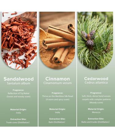 Pure Aromatherapy Essential Oils Gift Set - Cinnamon Sandalwood & Cedarwood - 3 Pack 1.01 Fl Oz for Relaxation Diffuser Massage & Skin Care - Buy Online on GoSupps.com