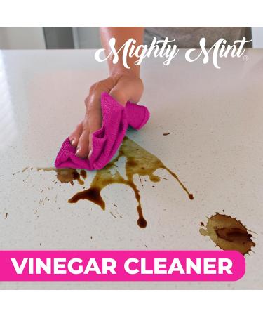 Mighty Mint Vinegar Cleaner | Non-Toxic All-Purpose Spray | Natural Spearmint Scent | 16oz - Eco-Friendly & Effective - Buy Online on GoSupps.com