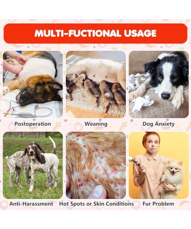 Hjyokuso Recovery Suit for Dogs & Cats | Post-Surgery Relaxation for Abdominal Wounds - XS Vegetable Design - Buy Online on GoSupps.com