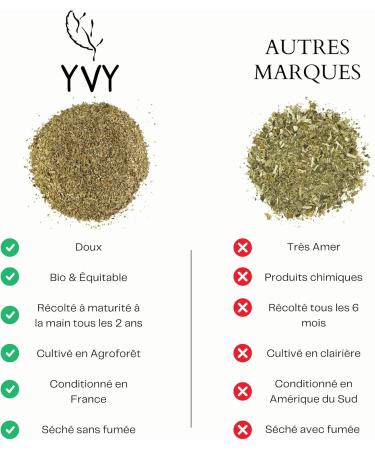  YVY YVY MAT Organic Yerba Mate Aged 24 Months Grand Cru 250g | Unsmoked Stemless Dust-Free | Fair Trade Low Bitterness and Natural - Buy Online on GoSupps.com