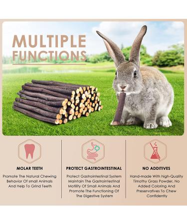 Bissap Apple Sticks for Rabbits - Natural Bunny Chew Toys and Treats - Teeth Grinding for Small Animals - 230g/0.5lb - Buy Online on GoSupps.com