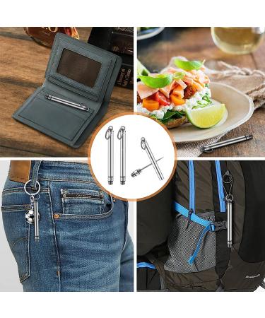Mini Titanium Toothpick Holder Set - Stainless Steel Reusable Toothpicks (2 Pieces) - Silver - Buy Online on GoSupps.com
