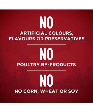 Purina ONE Classic Ground True Instinct Wet Dog Food Beef & Bison - 368 g Can (12 Pack) PET_FOOD - Buy Online on GoSupps.com