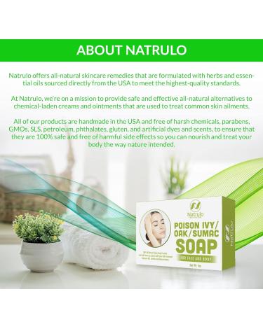 Poison Ivy Soap Bar - Natural Anti-Itch Treatment for Poison Ivy, Oak & Sumac - Soothes Rashes - 4 oz Bars (2 Pack) USA Made - Buy Online on GoSupps.com