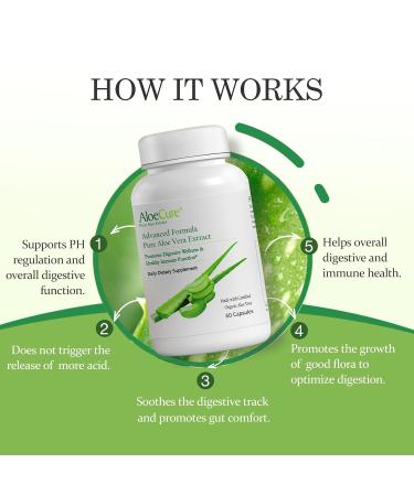 AloeCure Organic Aloe Vera Digestion Pack - 3 Pieces - Natural Flavor Juice, Aloe Vera Capsules, Probiotics + Enzymes - Buy Online on GoSupps.com