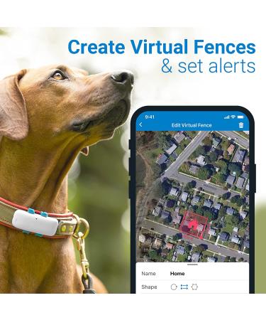 Tractive Waterproof GPS Dog Tracker - White | Location & Activity Monitoring | Unlimited Range - Buy Online on GoSupps.com