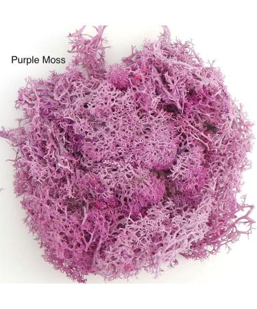 9 OZ Preserved Moss - Natural Live & Fake Moss for Potted Plants, Terrariums, Gardening, Art, Vase Fillers, Craft Floral Wall, Wedding Decor - Green, Purple, Pink - Buy Online on GoSupps.com