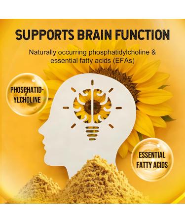 Organic Sunflower Lecithin Powder | 100% Non-GMO USDA Certified Gluten-Free | Brain Liver & Heart Health Support | Premium Food Emulsifier for Baking & Smoothies | 4oz (113g) 10g Daily Serving - Buy Online on GoSupps.com