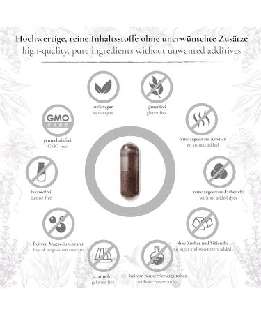 Desire to Have Children: Monk Pepper & Folic Acid Capsules | Zinc Iron Vitamin C-D-B12 | Vegan 180 Natural Capsules | Folat & Vitex Agnus Castus | High-Dose Fertility Support | Laboratory Tested in Germany - Buy Online on GoSupps.com