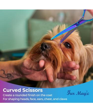 Fur Magic Dog Grooming Scissors Set 4 Pieces Stainless Steel Grooming Products for Dogs and Cats with Straight Scissors Thinning Scissors Curved Scissors and Grooming Comb - Buy Online on GoSupps.com
