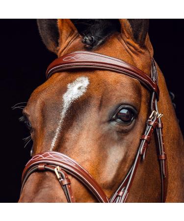 HORZE Sion Padded Leather Horse Snaffle Bridle with Flash Noseband and Rubberized Reins - Brown Horse - Buy Online on GoSupps.com