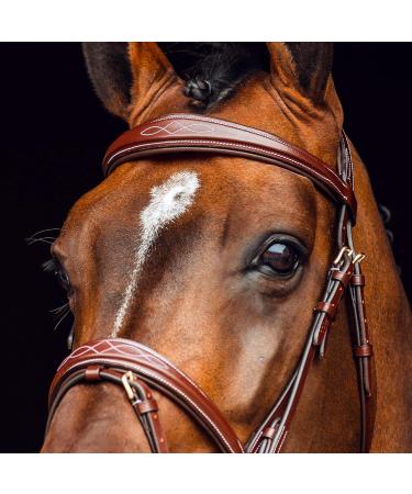 HORZE Horse Bridle Sion Premium English Noseband Bridle & Reins for Ponies Brown Size P | International Shipping Available - Buy Online on GoSupps.com
