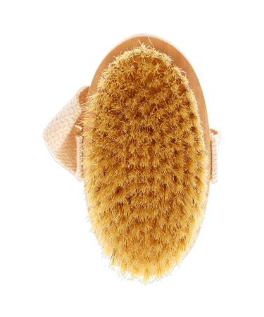Fantasea Natural Bristle Body Brush - Exfoliating Shower Brush for Smooth Skin - Buy Online on GoSupps.com