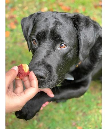 Croci Happy Farm Dog Chew Treat Natural Dog Snack with Vegetables Duck and Banana 80 GR - Buy Online on GoSupps.com