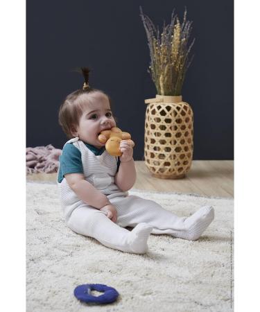 Kaloo Petit Calme Octopus Bite Ring - Natural Rubber Ergonomic & Soft 10 cm - Ideal for Babies from Birth - Orange (K970705) - Buy Online on GoSupps.com